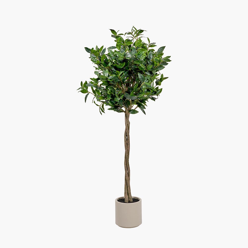 Faux Potted Bay Tree - Image 2