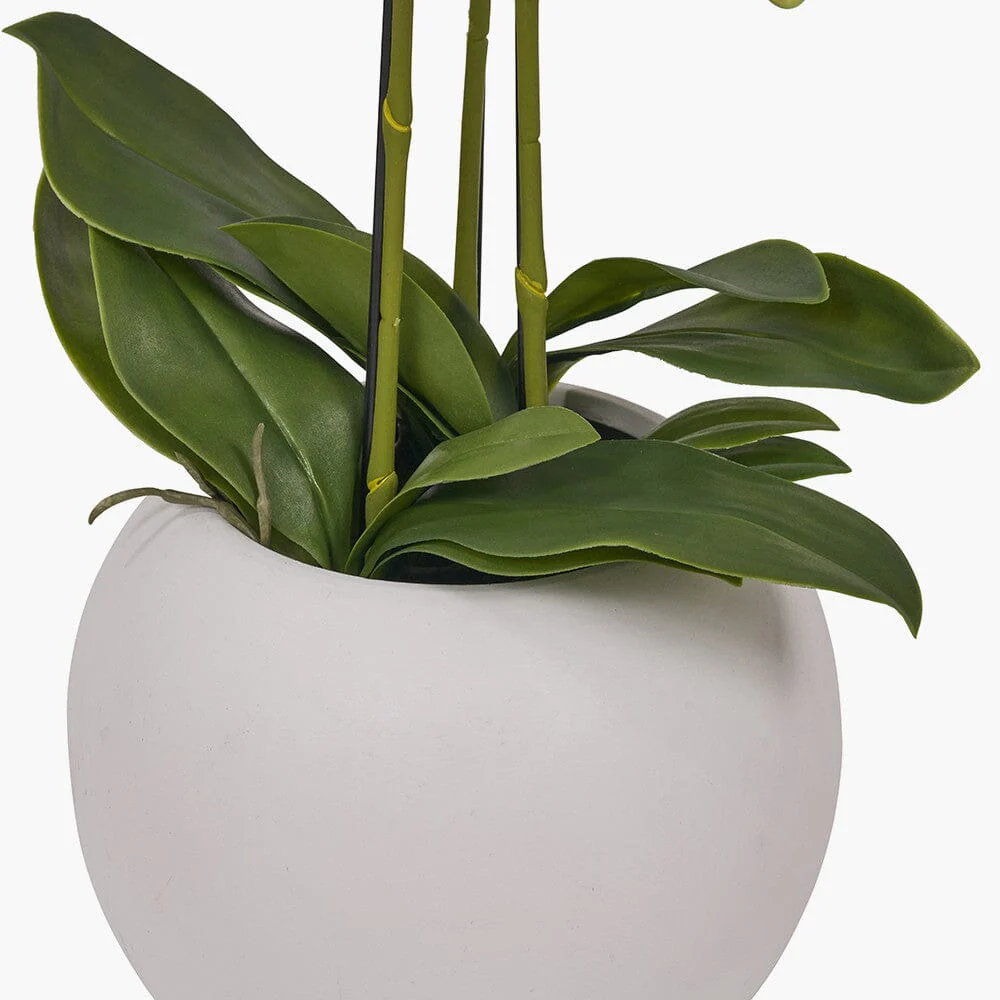 Medium White Faux Potted Orchid Decorative Floral - Image 4